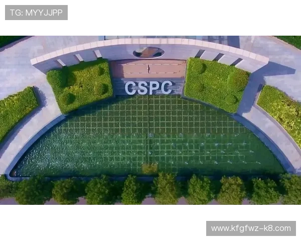 凯发集团简介：企业荣誉、社会责任与行业地位的全面介绍